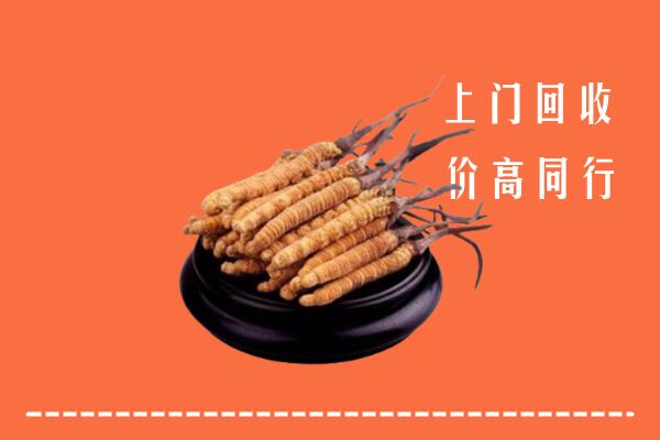 高价求购：太仓市回收散虫草