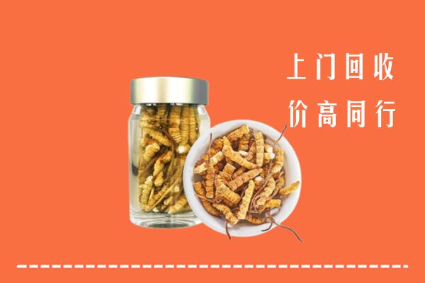 太仓市回收冬虫夏草